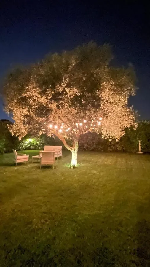 Corte Caselle Sommacampagna Bed & Breakfast