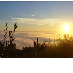Vico Del Poeta Bed & Breakfast Assisi